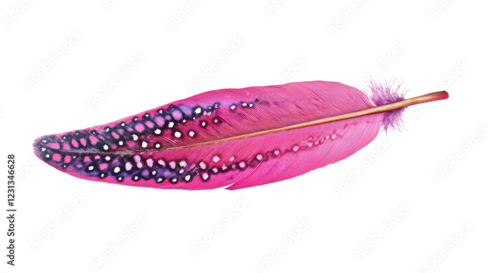 Poster pink feather showing dots pattern on transparent background