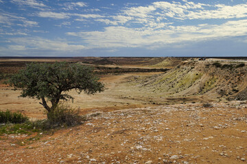 The Woodleigh Impact Crater it is a large meteorite impact crater