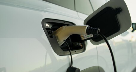A white electric car on a charge, close-up of the cable in the connector