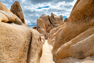 Monzogranite rock formation in Joshua Tree National Park / Mojave Desert, California USA