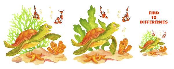 Finding differences. Attention task with sea turtle, clown fish, starfish, corals, algae and bubbles. Hand drawn Seabed composition. Underwater world educational puzzle game for school readiness