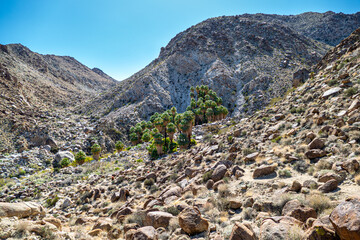 Joshua Tree National Park Hiking Trail Landscape Series, Fortynine Palms Oasis Trail entrance, and rugged rocks and hills, in Twentynine Palms, Southern California, USA