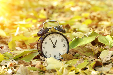 Autumn time. Alarm clock on fallen leaves