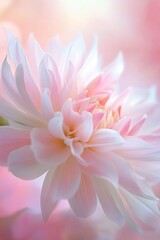 Fototapeta premium A stunning close-up of a pink dahlia flower showcasing its delicate petals and soft pastel colors, ideal for nature and floral-themed projects.
