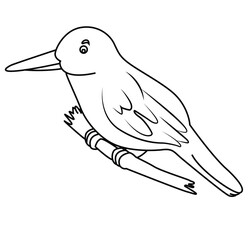 Cute cartoon hand drawn vector bird sitting on branch outline.