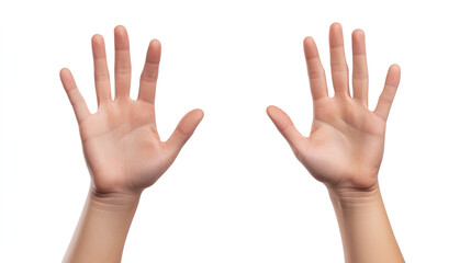 Both two hands reaching, touching, holding and taking something invisible, set isolated on white background