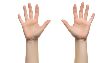 Both two hands reaching, touching, holding and taking something invisible, set isolated on white background