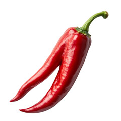 Chili Pepper on a Transparent Background