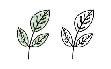 Minimalist botanical branch with leaves, eco nature line drawing