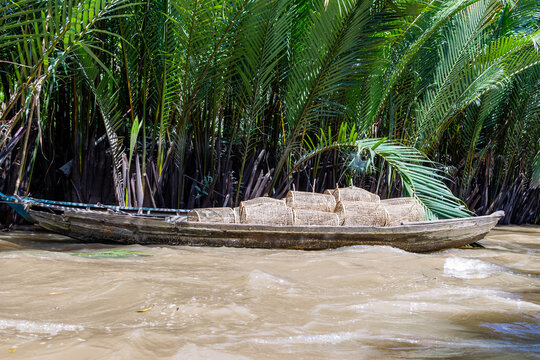 boat tied trees river fish trapes