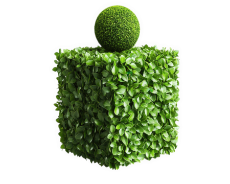 bush shaped into cube with sphere on top, creating unique decorative piece. This green structure adds touch of nature to any space
