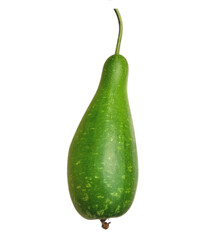 Fresh natural organic bottle gourd isolated on white, deshi law also known as in Indian subcontinent 