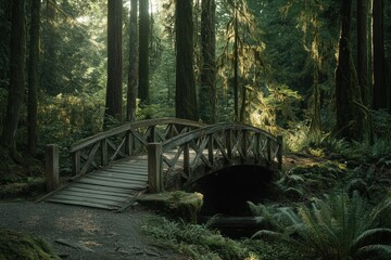 Fototapeta premium Wooden bridge crossing a creek in a lush, mossy forest.