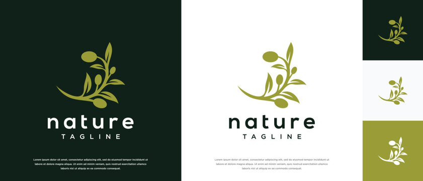 Olive oil logo design template. Natural olive logo design vector icon