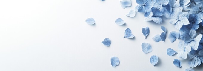 Scattered light blue flower petals on white background.