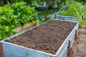 two planted beds with vegetables and green onions in the yard without people