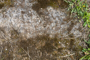 Green moss and rain stains on cement wall.