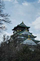 Fototapeta premium 日本のお城