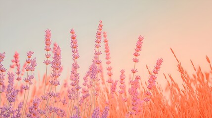 Fototapeta premium Soft Pastel Abstract Background Texture