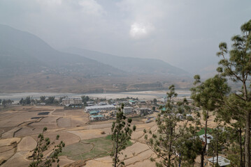 terraced rice field in Bhutan