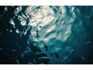 Underwater scene with shoal of fish swimming in dark teal water, sunlight visible on surface.
