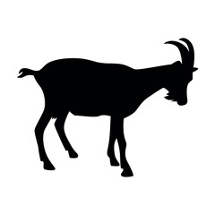 Goat Silhouette had sharp horn