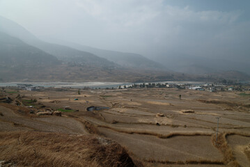 terraced rice field in Bhutan