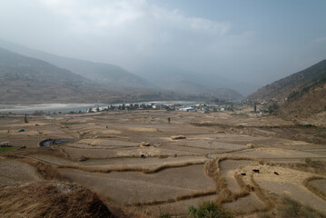 terraced rice field in Bhutan