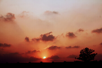 A suburban sunset in summer, bright and warm to enjoy.