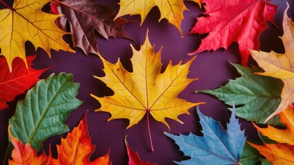 Fototapeta premium Colorful autumn leaves in vibrant shades of red, orange, yellow, and green scattered on a deep purple background creating a warm fall ambiance.