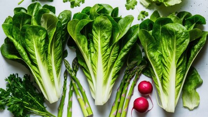 Vivid green lettuce leaves with crisp edges positioned at the center, surrounded by fresh asparagus and bright red radishes on a light surface.