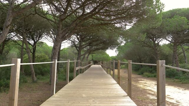 Protected National Forest Wooden Walkway, Caparica