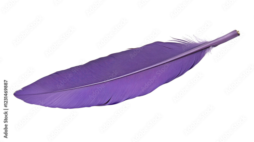 Poster purple feather showing softness and lightness on transparent background