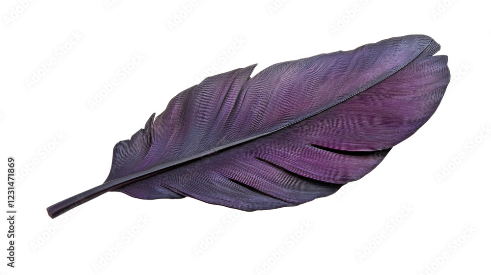 Poster purple feather showing softness and lightness on transparent background