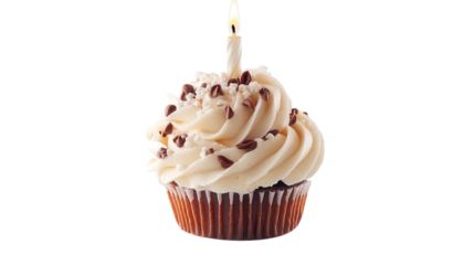 Delicious chocolate chip cupcake with a single candle ready for celebration