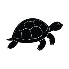 Turtle silhouette isolated on white background