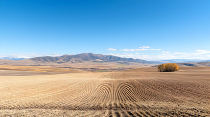 Autumnal farmland, mountain backdrop, clear sky, plowed field, rural landscape, nature photography