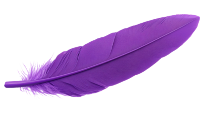 Purple feather floating on transparent background, ready to be incorporated into designs