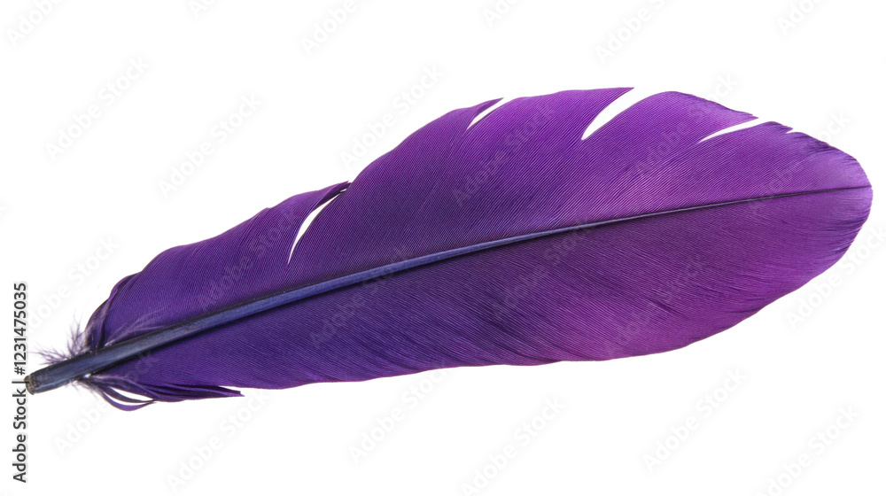 Poster purple feather showing lightness and softness on transparent background