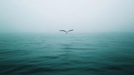 Solitary Bird Over Calm Teal Sea Under Foggy Sky