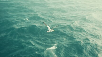 Naklejka premium Seagull Soaring Over Turbulent Teal Ocean Under Hazy Sky