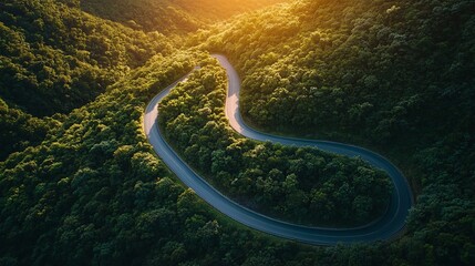 Scenic Aerial View of Winding Road through Lush Green Forest
