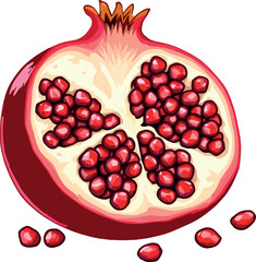Vibrant illustration of a sliced pomegranate with seeds