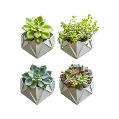 Wall-Mounted Geometric Ceramic Planters with Green Plants Isolated on Transparent Background