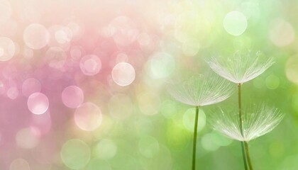 春 陽光 芽吹き 若葉 成長 生命 息吹 希望 未来 軽やか 爽やか 優しい 穏やか 暖かさ 喜び 幸せ 希望 夢 始まり 新しい スタート