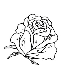 Valentine’s Day Rose Clipart Set – Hand-Drawn Floral PNG with Transparent Background