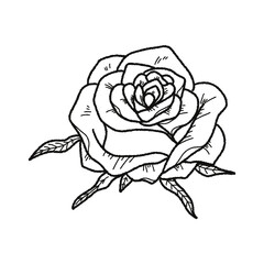 Valentine’s Day Rose Clipart Set – Hand-Drawn Floral PNG with Transparent Background