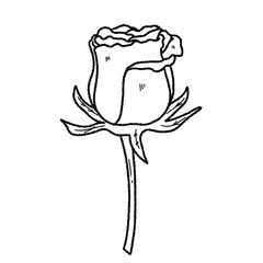 Valentine’s Day Rose Clipart Set – Hand-Drawn Floral PNG with Transparent Background