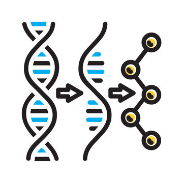 Vector multi color icon for Transcription