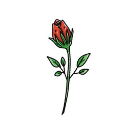 Valentine’s Day Rose Clipart Set – Hand-Drawn Floral PNG with Transparent Background